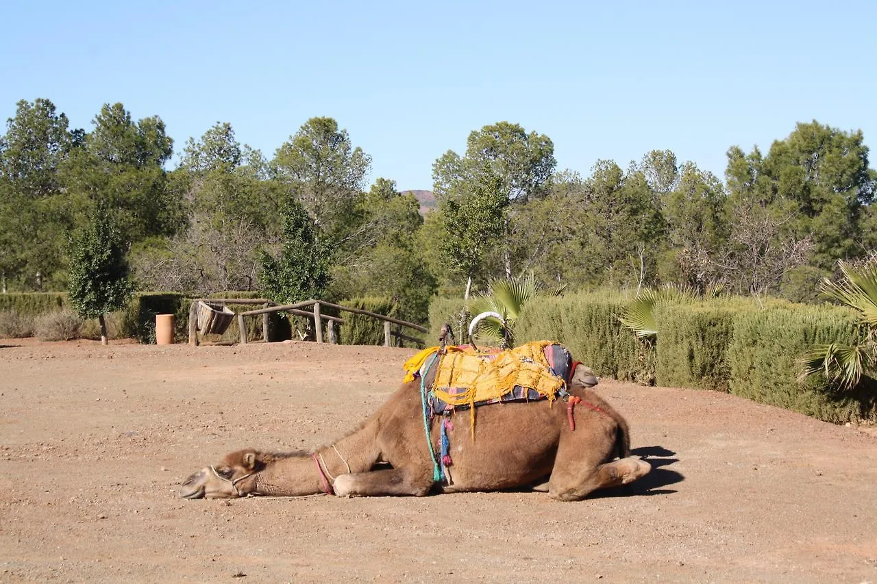 Terres D'Amanar Hotel Tahanaout Morocco